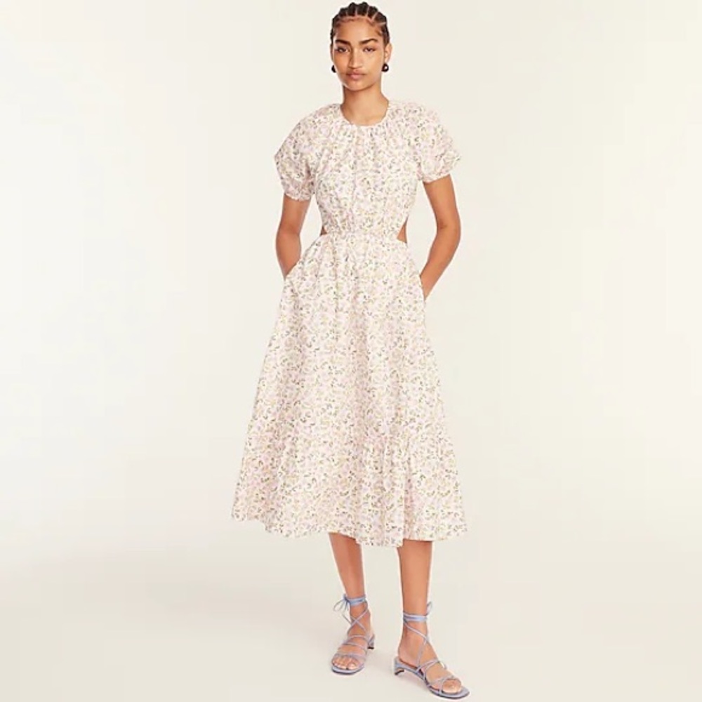 JCrew Side-cutout cotton poplin dress in meadow floral